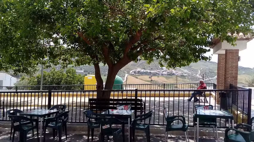 Bar Nervi