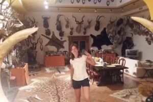 Bar Pahi Mu&ntilde;oz Ruiz