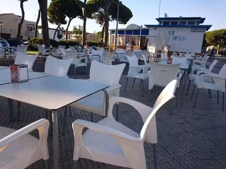 Bar Paseo