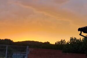 Bar Piquera de San Esteban