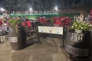 Bar piscina &ndash; Los Serrano