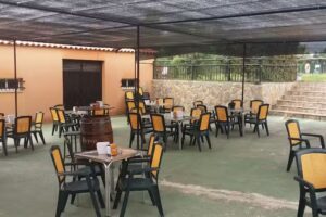 Bar Piscina Municipal Alcollarin