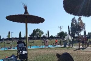 Bar Piscinas de Fuentespina