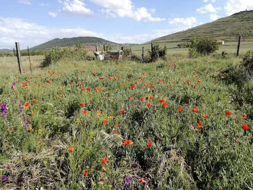 Bar Piscinas de Tornos