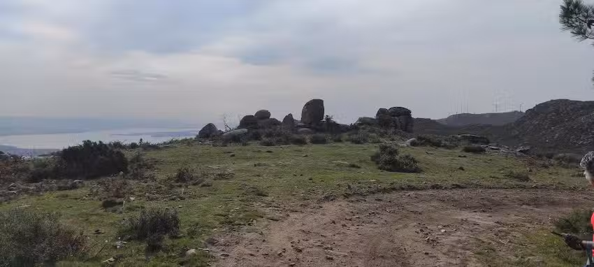 BAR PUMARI&Ntilde;O
