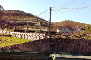 Bar-tenda-estanco Carrasca