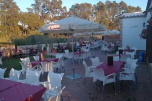 Bar Terraza Casa Palillo