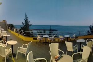 Bar TERRAZA TROPICAL