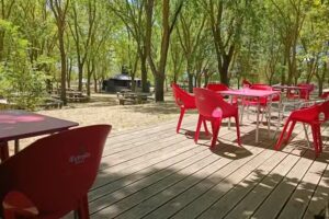 Baselisa San Ginesko Taberna