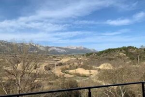 Berarte Vi&ntilde;edos y Bodegas