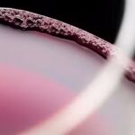 Bodega A man de Prado | Bodega Sober &ndash; Ribeira Sacra