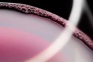 Bodega A man de Prado | Bodega Sober &ndash; Ribeira Sacra