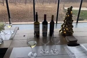 Bodega Finca Montepedroso