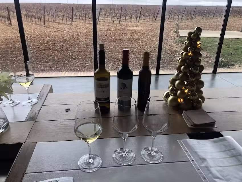 Bodega Finca Montepedroso