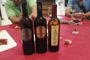 Bodega Florentino Mart&iacute;nez