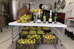 Bodega sidrer&iacute;a el lagar de valleseco (solo reservas)