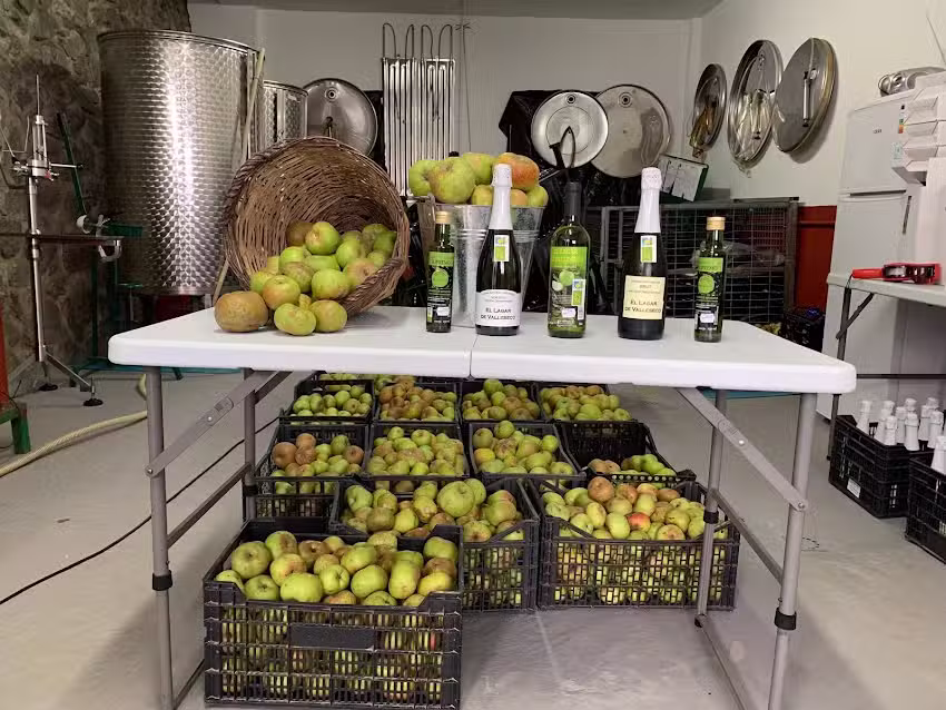 Bodega sidrer&iacute;a el lagar de valleseco (solo reservas)
