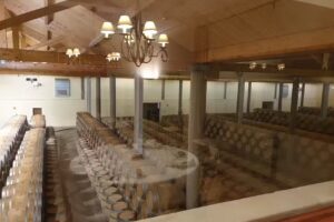 Bodegas &Aacute;ster &ndash; Ribera del Duero