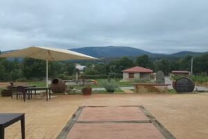 Bodegas Franco Basalo &ndash; Estela do Val