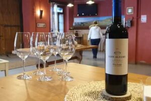 Bodegas Luis Alegre