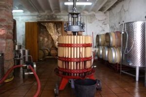 Bodegas Magnanimvs de vinos