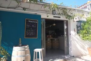Bodegas Tierra Savia (Bodega, tienda y vinoteca. Visitas guiadas)