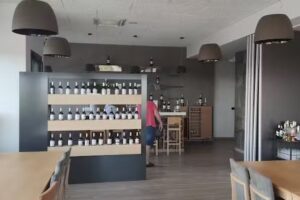 Bodegas Y Vi&ntilde;edos Valderiz