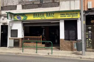 Brasil Raiz Palma