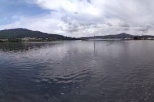 Caf&eacute; bar Estaci&oacute;n