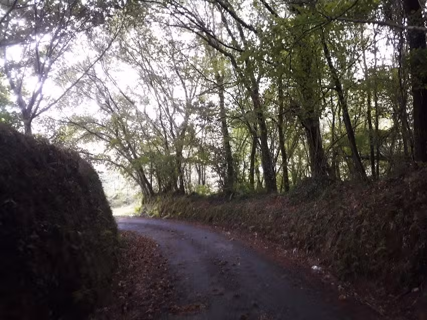 Caf&eacute; Bar Hortensia