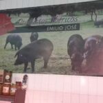 CAFE-BAR &laquo;LA PLAZA&raquo;