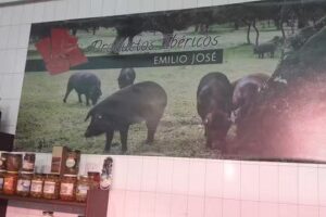 CAFE-BAR «LA PLAZA»