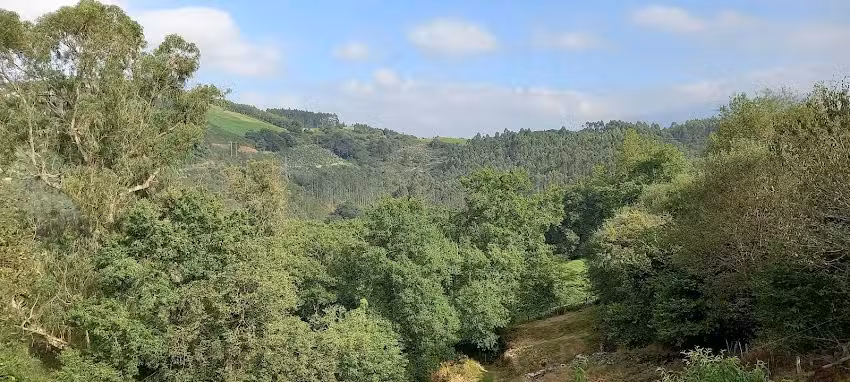 Caf&eacute; Bar Romano