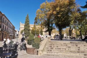 Caf&eacute; N&uacute;mero 31