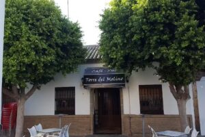 Cafe Pub Torre Del Molino (Antiguo Pub De Madrra)