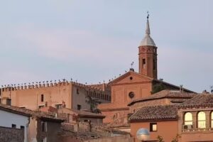 Caf&eacute; Rak&uacute; 33