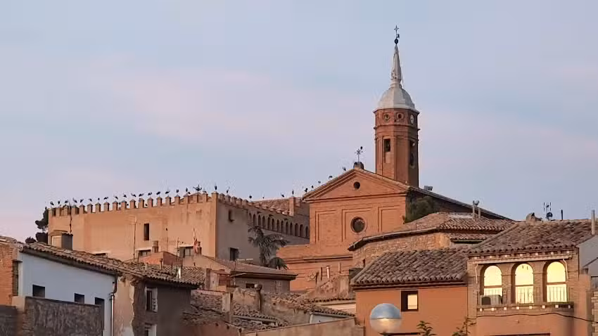 Caf&eacute; Rak&uacute; 33