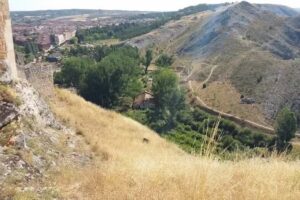 Cafeter&iacute;a Bar Susan