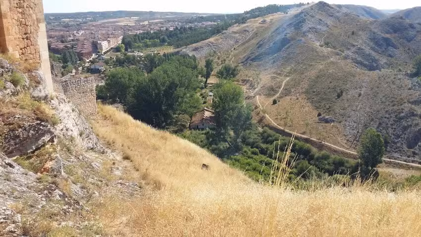 Cafeter&iacute;a Bar Susan
