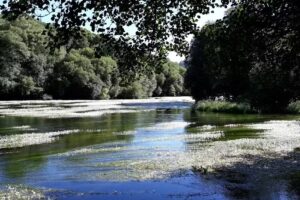 cafeteria playa fluvial de chaian