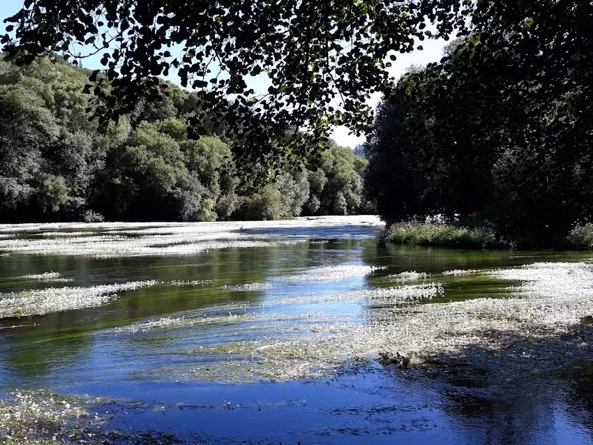 cafeteria playa fluvial de chaian