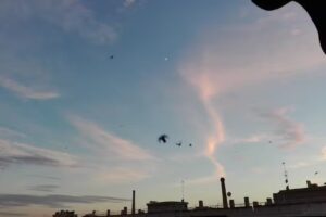 CAFETERIA PUB NOTYPICAL