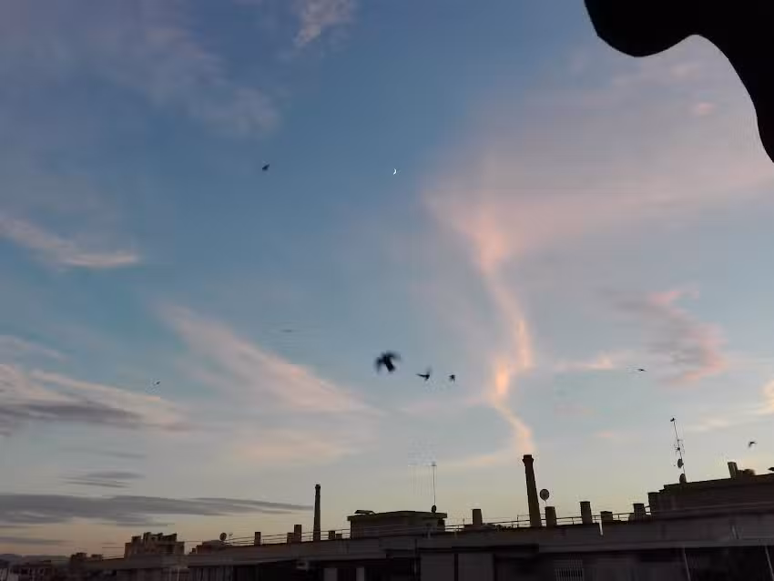 CAFETERIA PUB NOTYPICAL