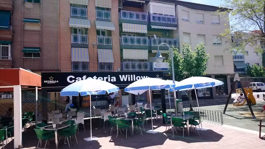 Cafeteria Willow