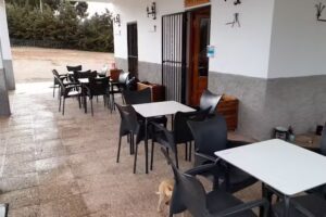 Camping Lucena en Cabra del santo cristo