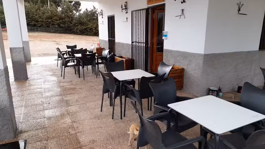 Camping Lucena en Cabra del santo cristo