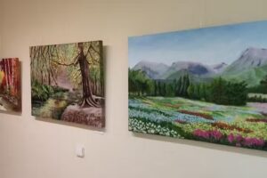 Cantina Centro De Mayores Los Dolores