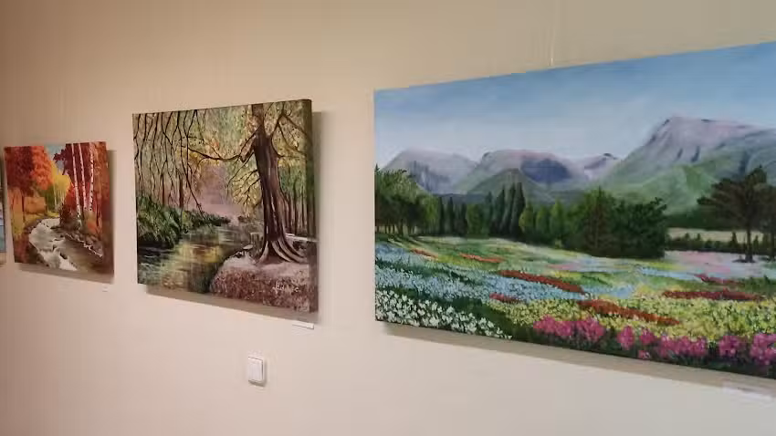 Cantina Centro De Mayores Los Dolores