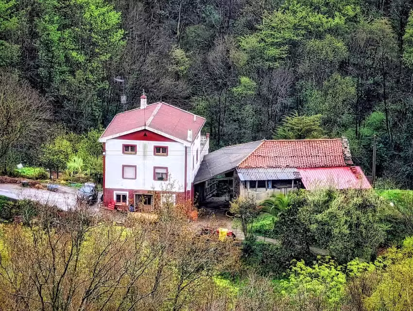 Casa Fernando Faedo