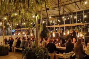 Cats kitchen / La Catarina Craft Beer